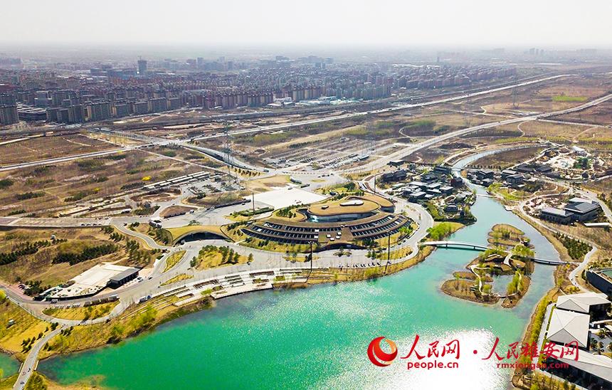 航拍雄安郊野公園。人民網(wǎng)宋燁文攝