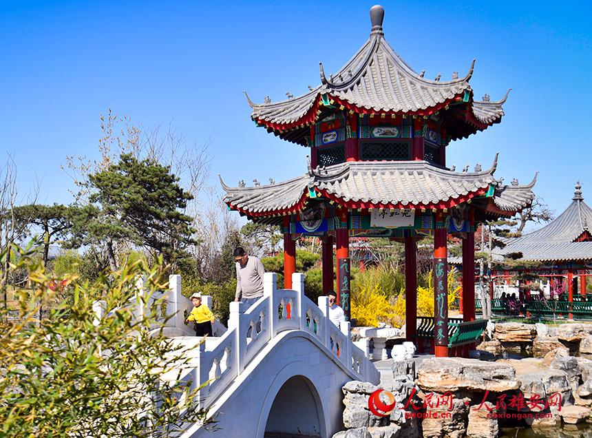 春天的雄安郊野公園，春和景明。人民網(wǎng)宋燁文攝