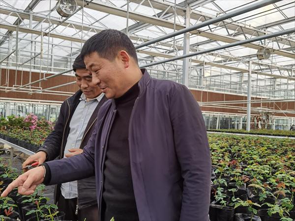 諸新良和農(nóng)戶一起研究花木種植技術。受訪者供圖