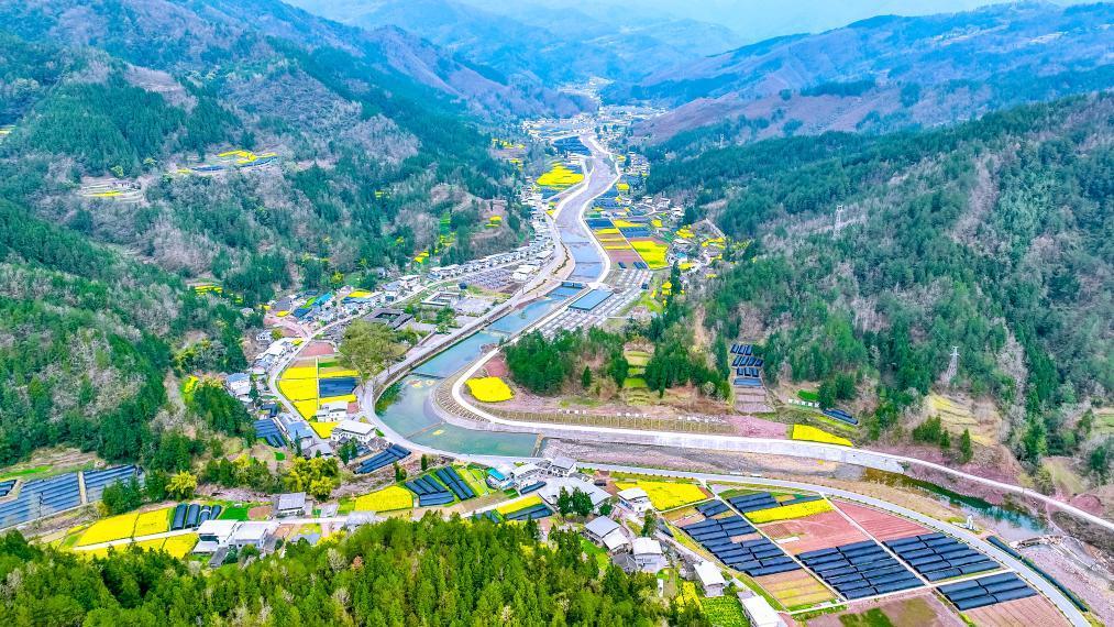 挑起“金扁擔” 大巴山“美食”走向海內外