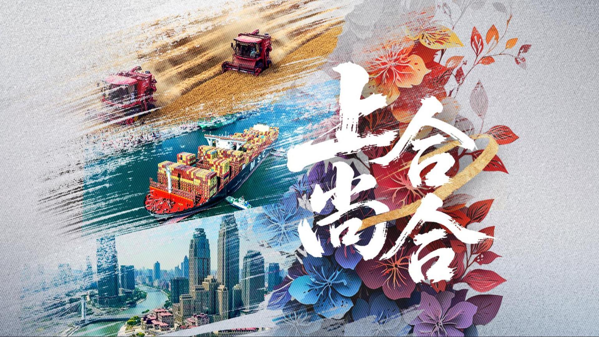 紀錄片丨上合，尚合