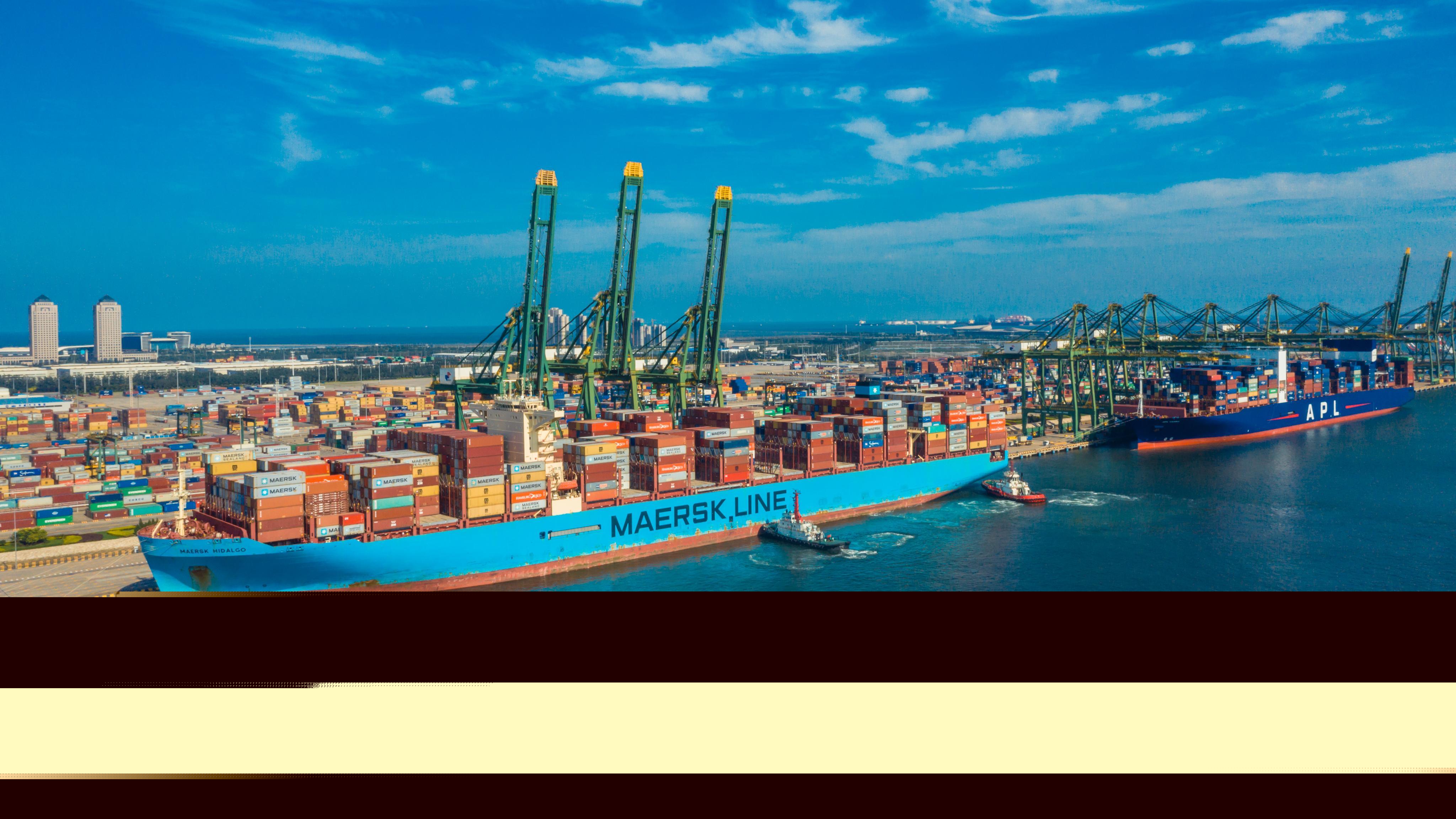 天津港太平洋國際集裝箱碼頭有限公司