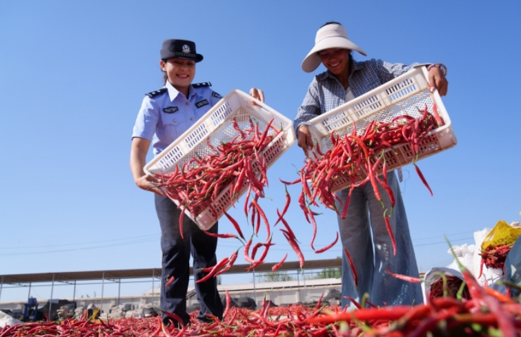 民警幫助農(nóng)戶曬辣椒